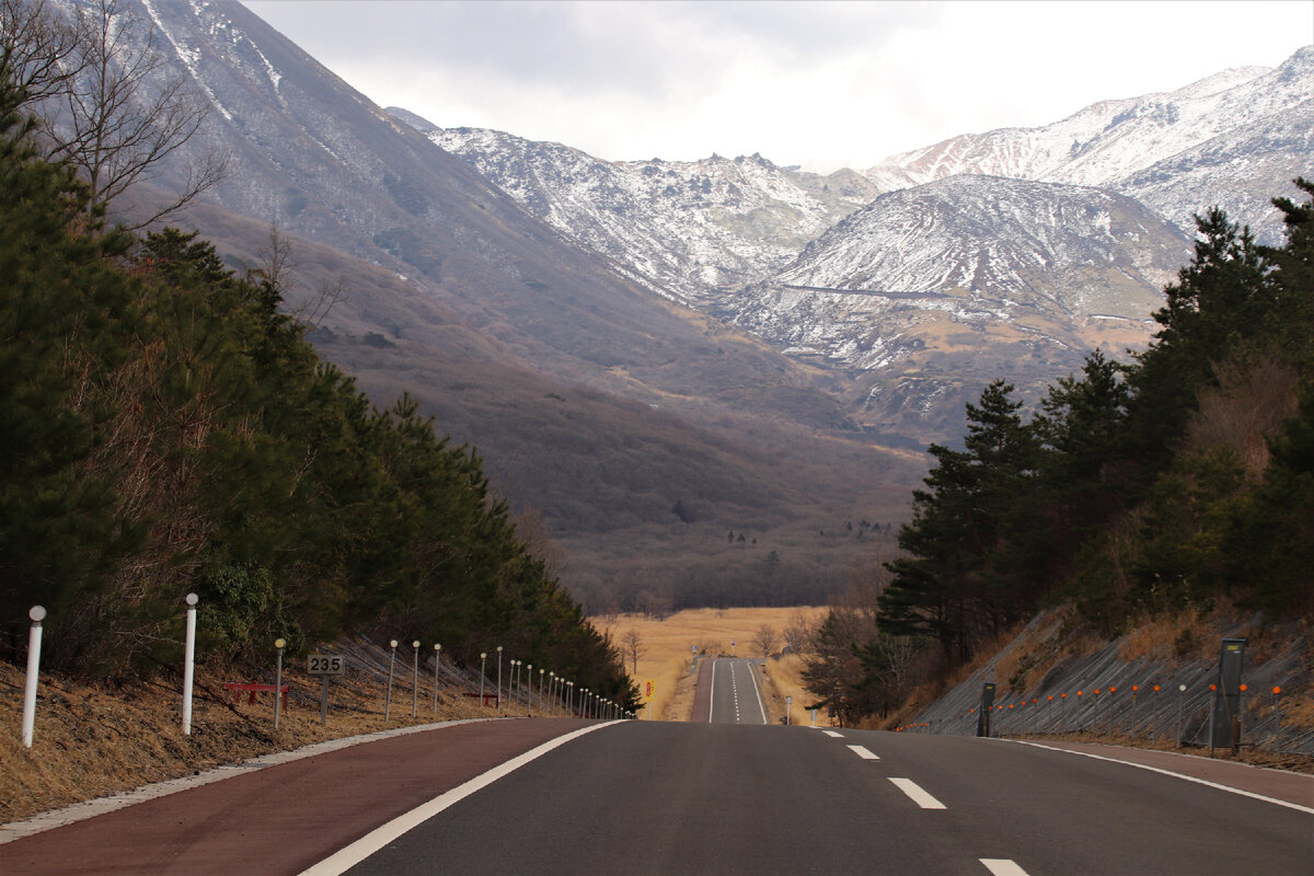 Почему японцы каждую весну поджигают склоны гор и любуются этим ...