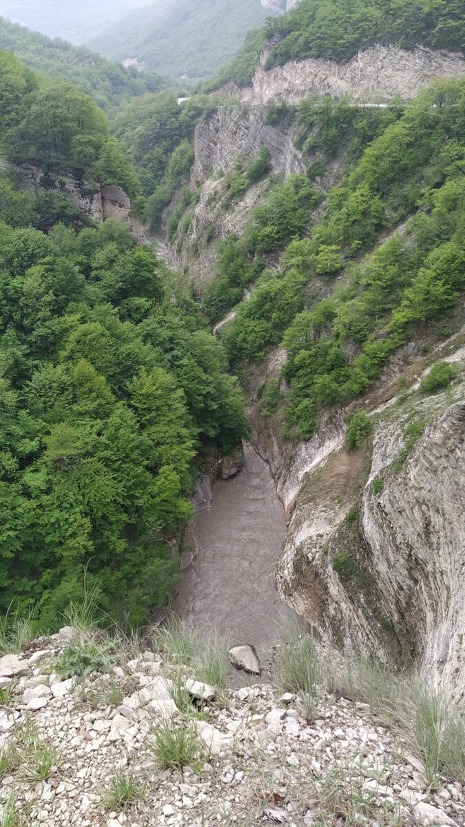 Аргунское ущелье мешехи