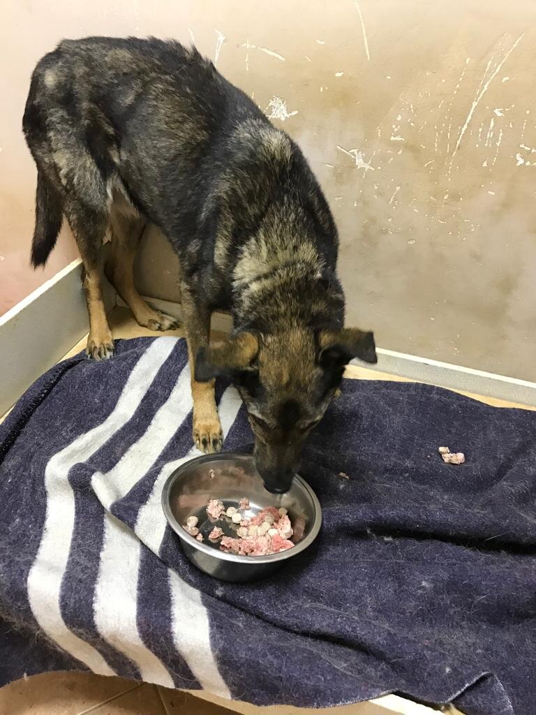 октябрь 2022г