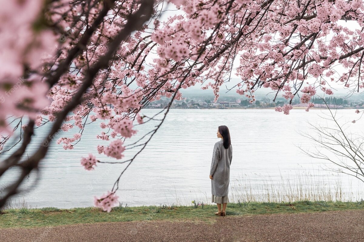 Источник: freepik.com