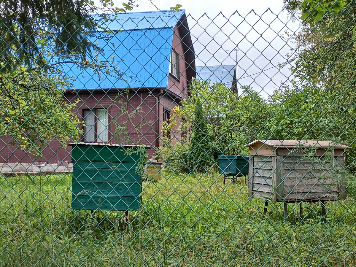 Домик в деревне... 3 | Деревенская жизнь... | Дзен