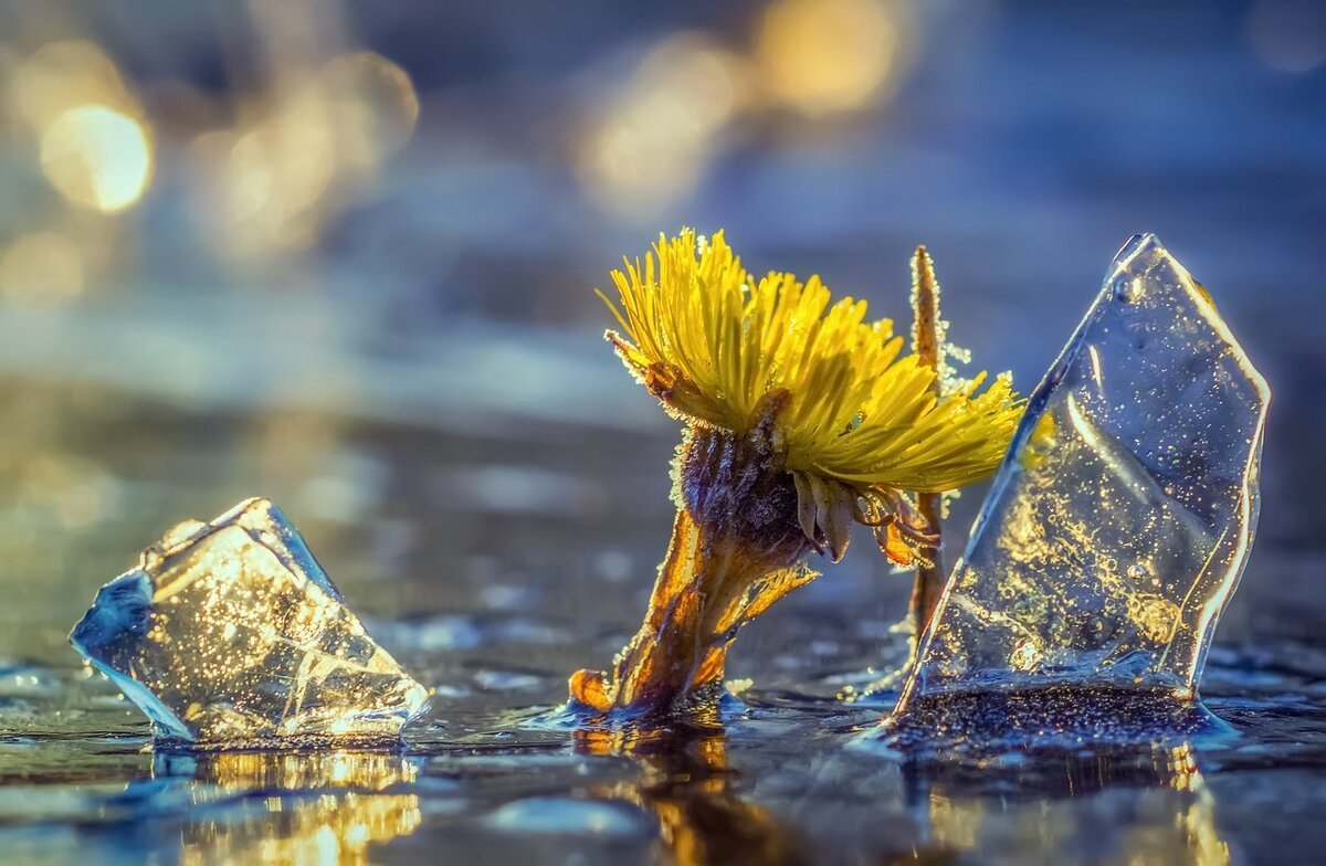 Картинка из сети интернет в свободном доступе, спасибо автору.