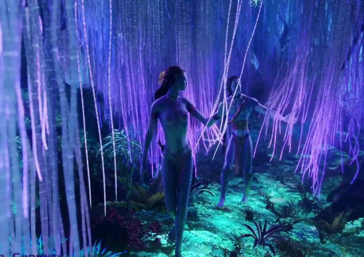 Кадр из фильма «Аватар»
﻿
