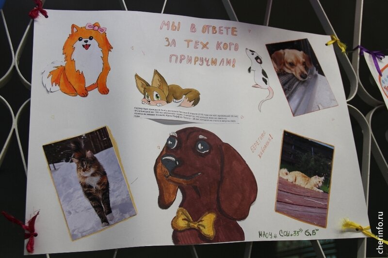    В субботу, 8 апреля, в "Комсомольце" пройдет традиционная акция "Лапа помощи". Волонтеры привезут из приютов животных, еще запланированы мастер-классы, развлекательная программа.