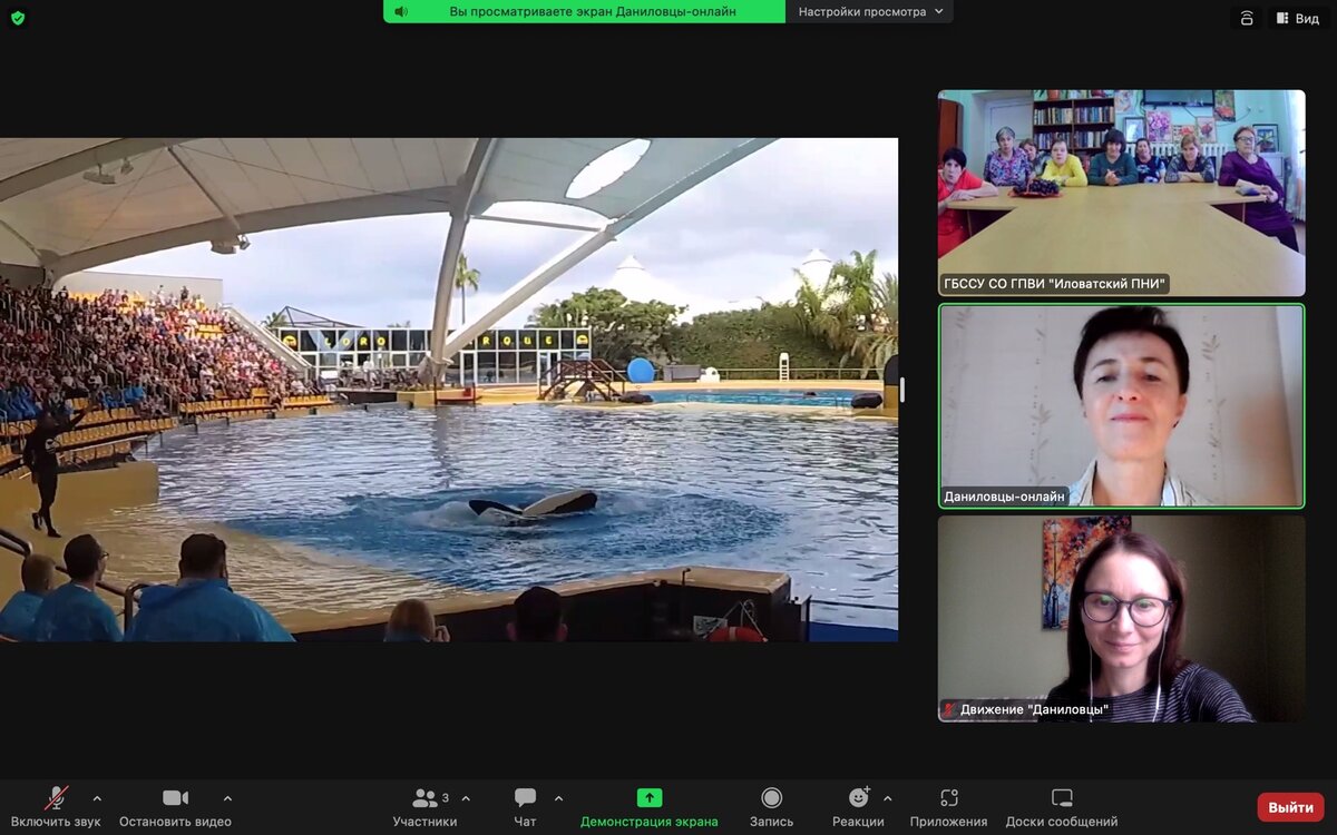 Шоу дельфинов на Тенерифе