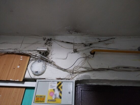     Фото Владислава Пирогова/МК в Красноярске