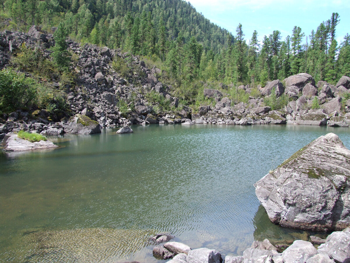 какая рыба водится в телецком озере горного алтая