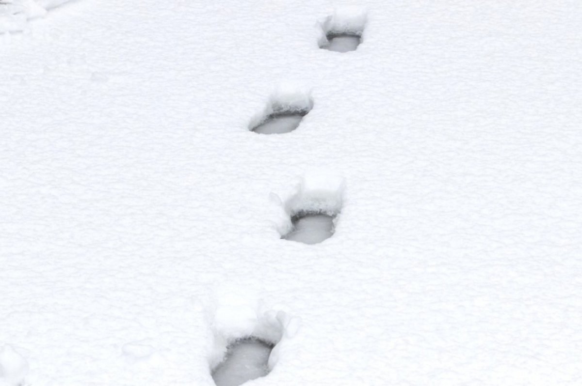    В Барнауле остановили поиски пропавшего 12-летнего мальчика