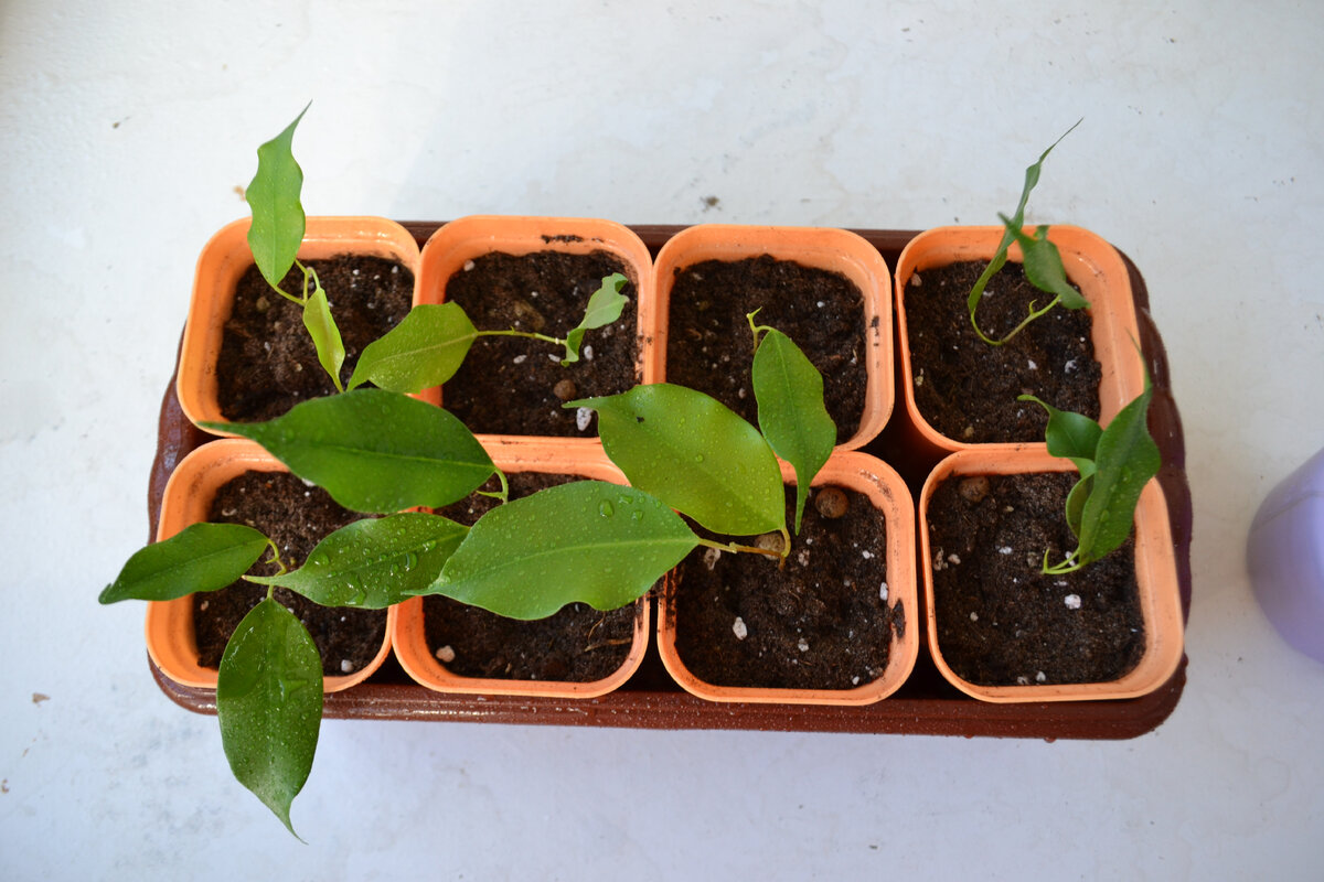 фото октябрь 2022