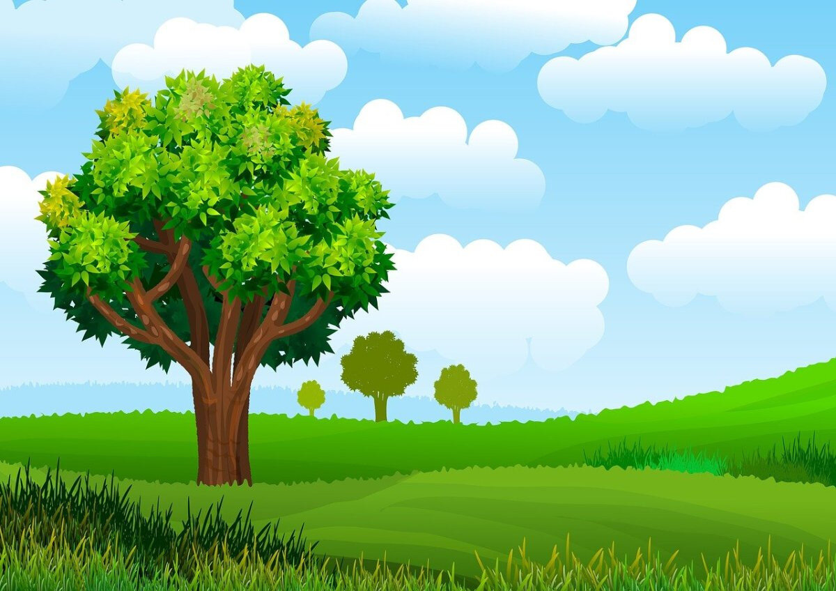 Деревья выше и трава зеленее. Яндекс картинки