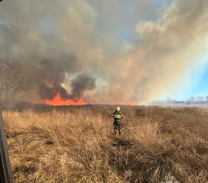    На улице Уральской в Оренбурге горит сухая трава Белов Михаил Александрович