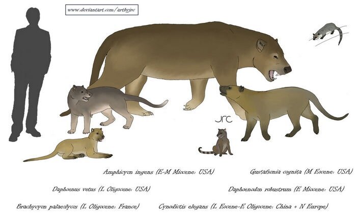 Вся семейка в сборе…ну почти вся.