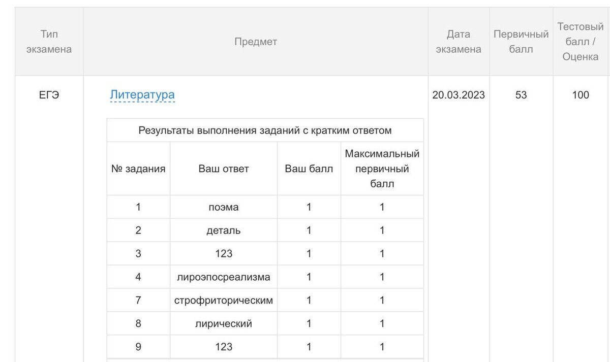 Темы сочинения по литературе 2023