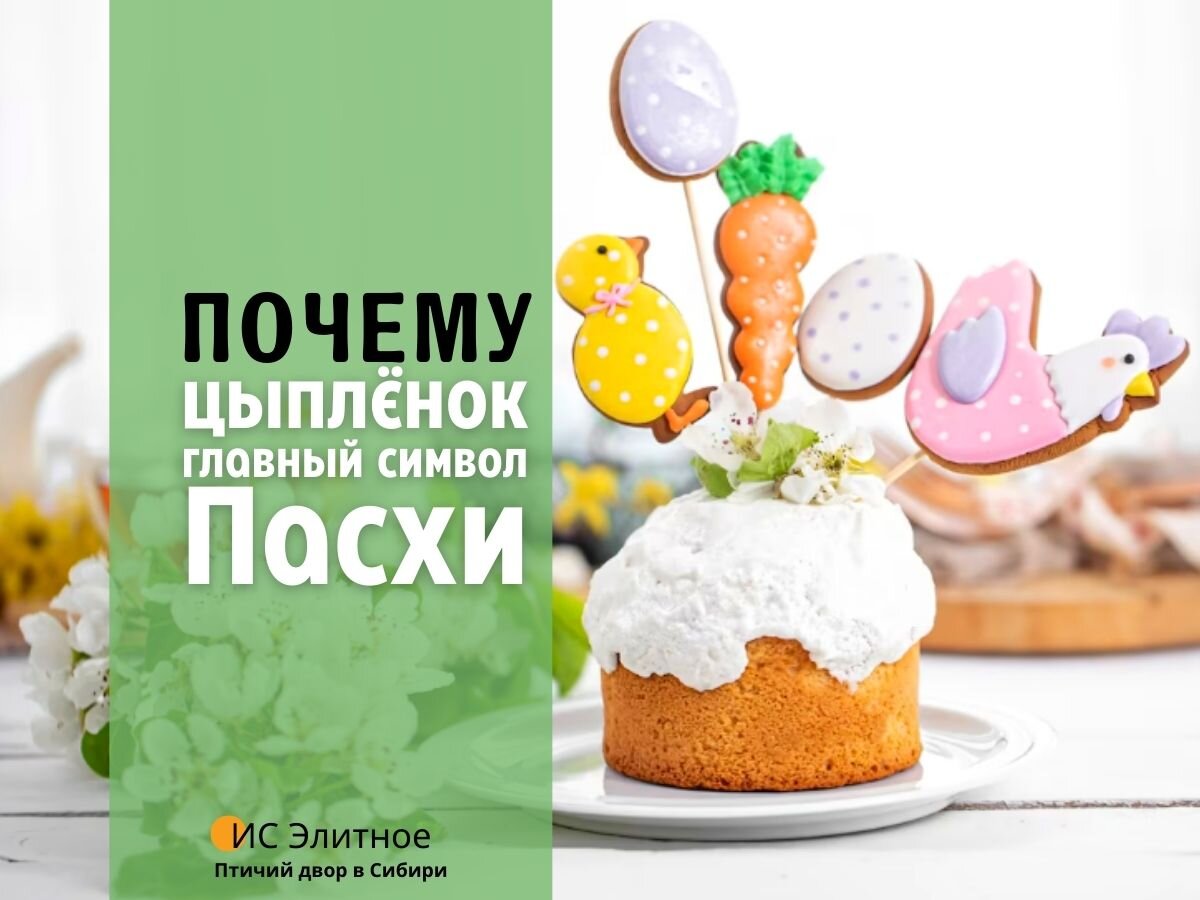 Почему основной символ Пасхи - цыплёнок, и что он символизирует в разных странах