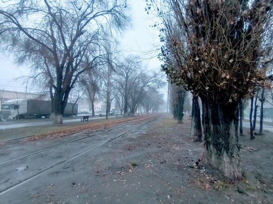     Фото: Наталья Балаболкина