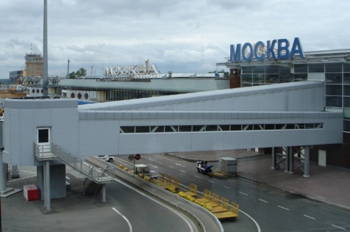    Человеческий череп пытались отправить посылкой в США из Москвы