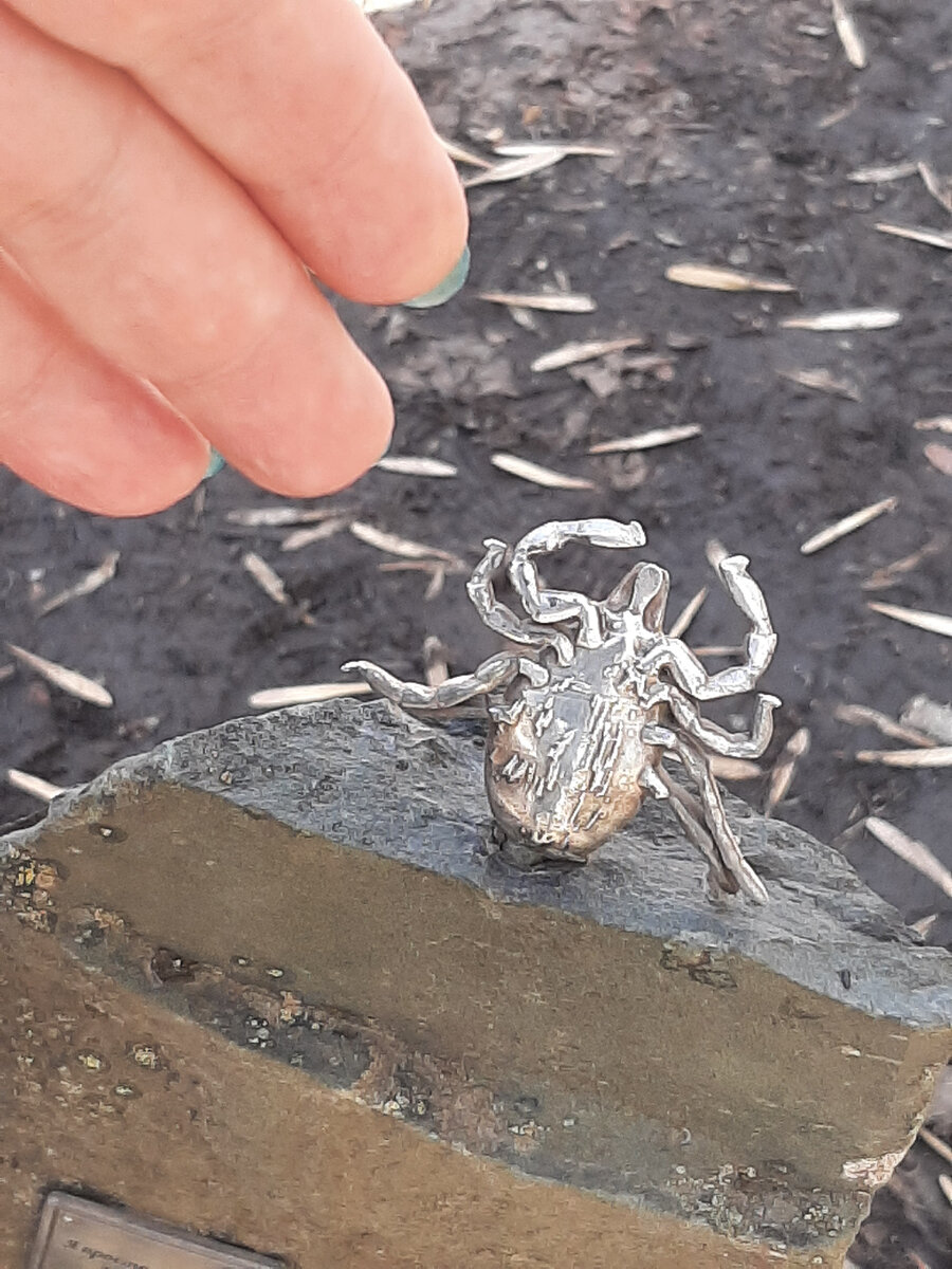 размерчики