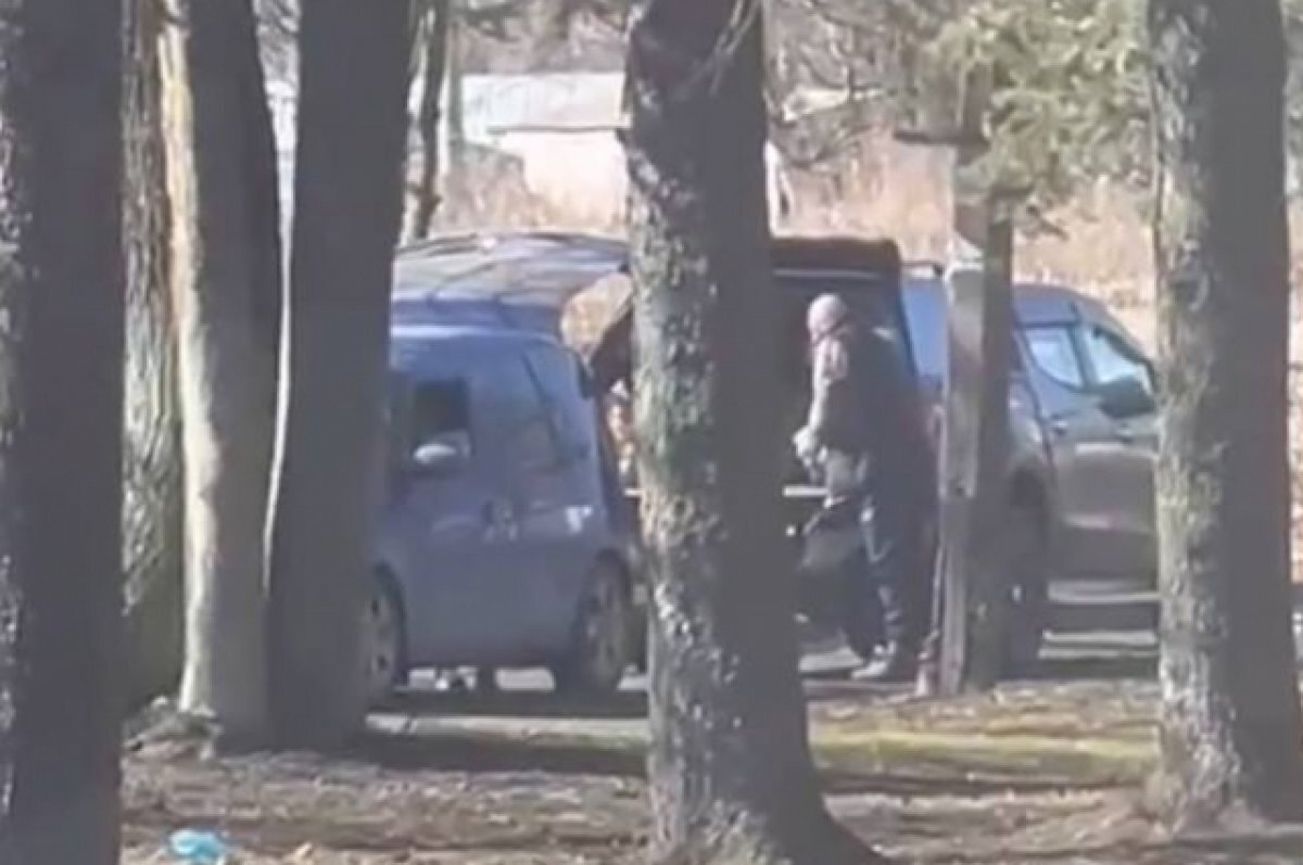    Петербургские таможенники нашли почти 800 кг гашиша в грузовике из Европы