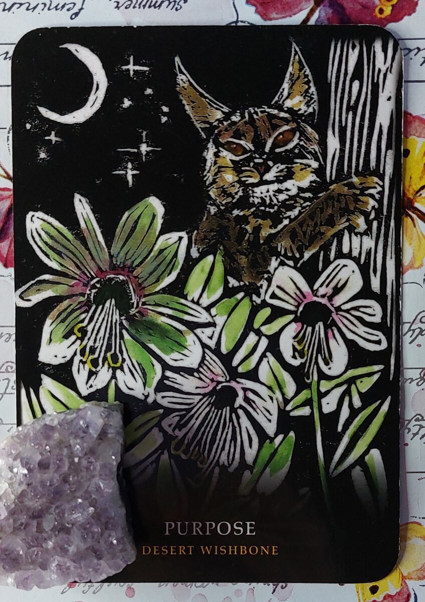 Колода: "Flowers of the Night Oracle" by Cheralyn Darcey