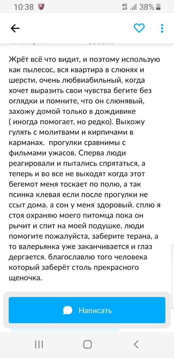 Скрин с Авито. 
