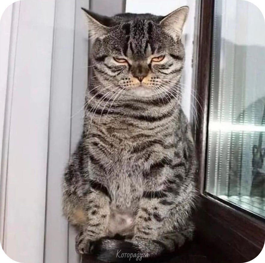 Источник: pinterest.com