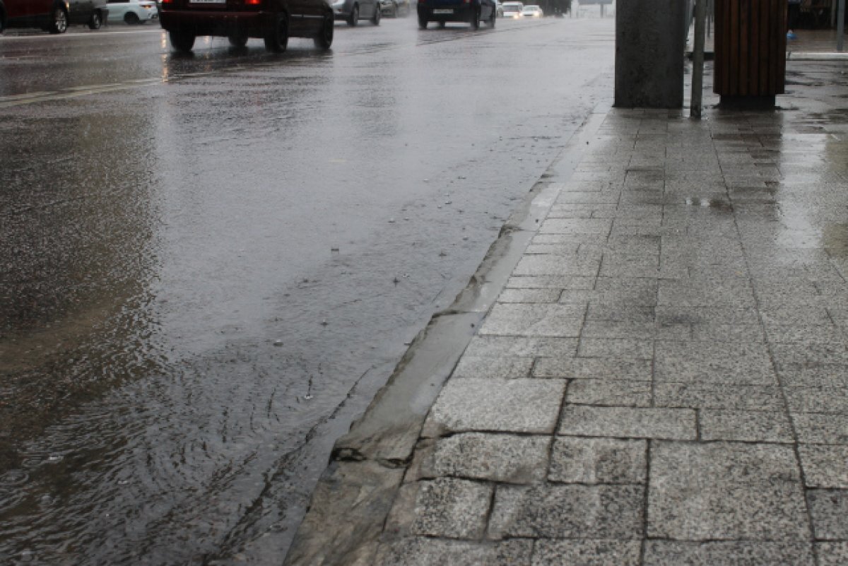    Фото для иллюстрации