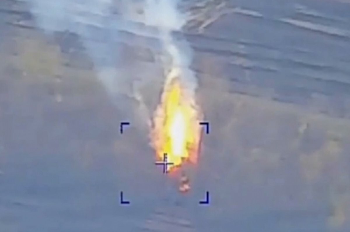    Минобороны РФ показало кадры уничтожения польской САУ Krab