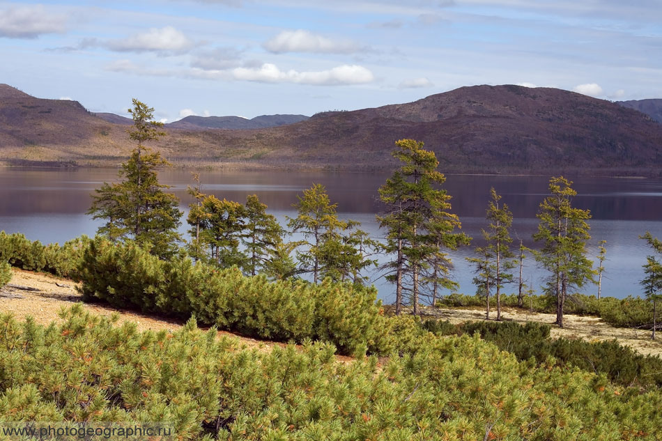 Там же, на острове.