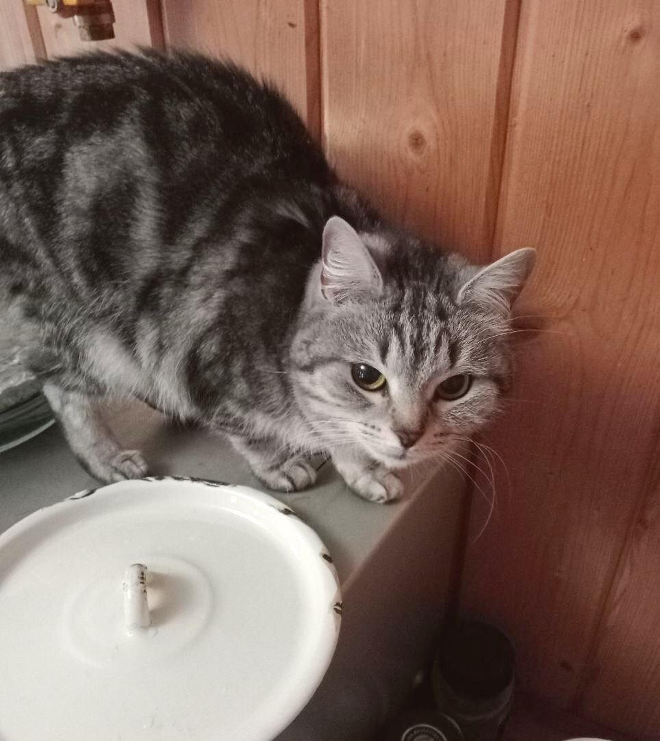 Азиль. Фото из домашнего архива