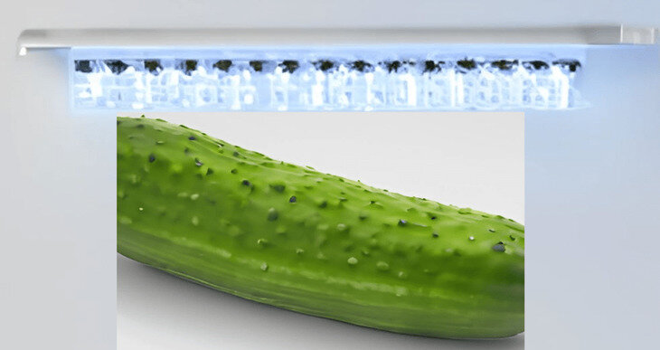    Какой спектр в светодиодах действительно полезен тепличному огурцу