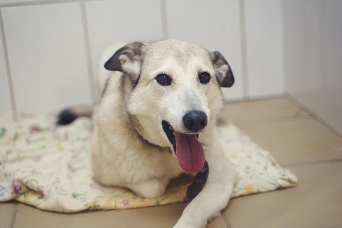 Вега полна энергии и оптимизма!