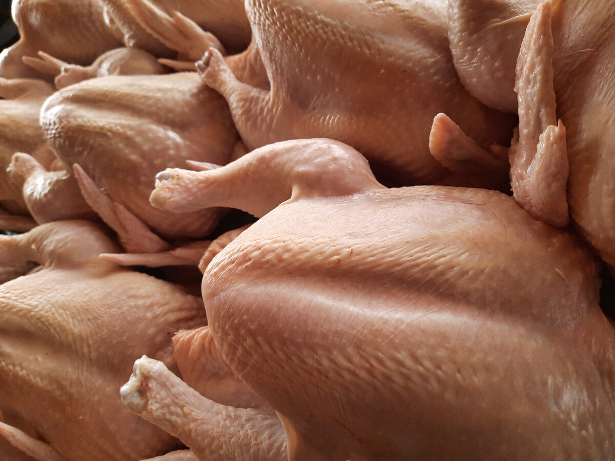 фото автора. Для показа постарайтесь сделать фото красиво и четко, да такова реальность.