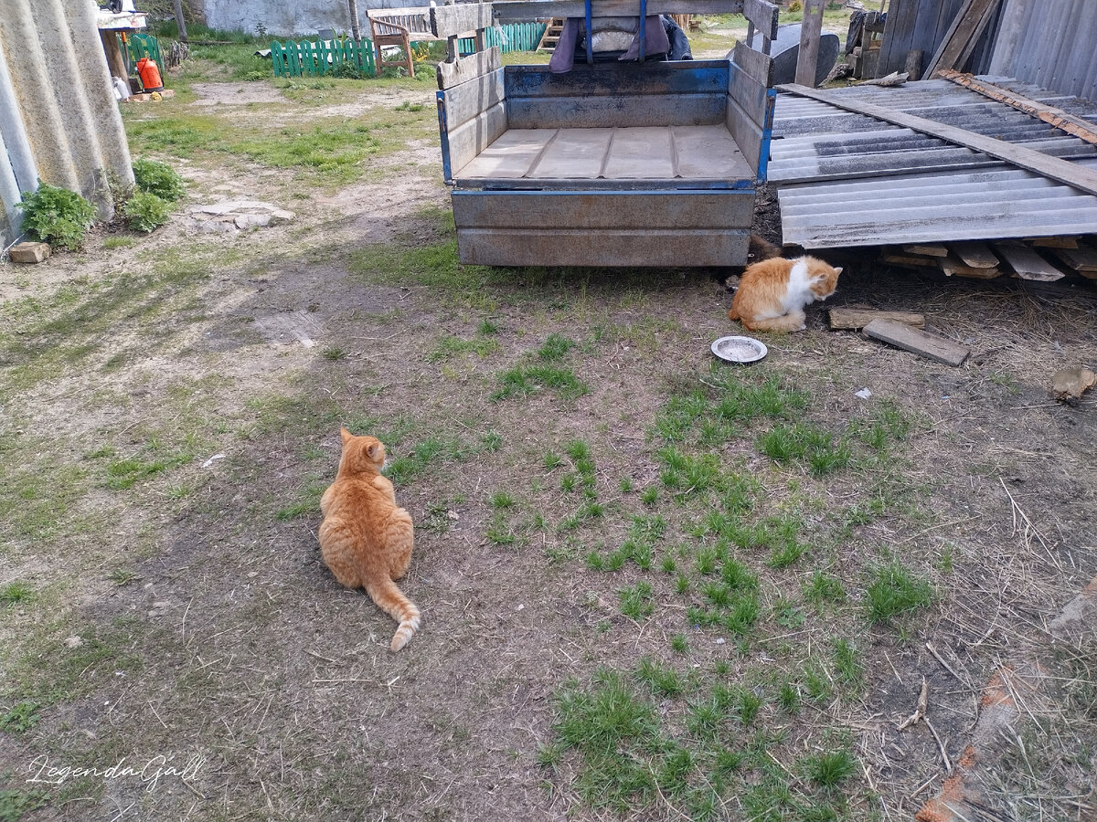 А вокруг, как всегда, куча помощников.