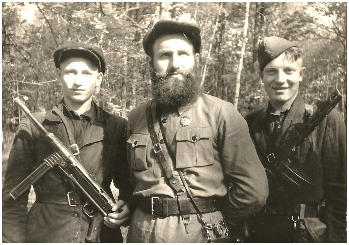 Нескольких партизанов