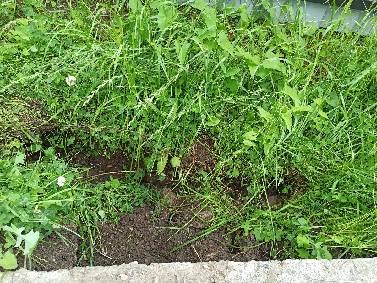 Промоина на подпорной стенке 