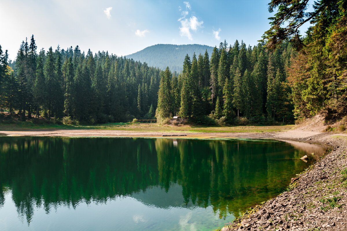 Источник - freepik.com