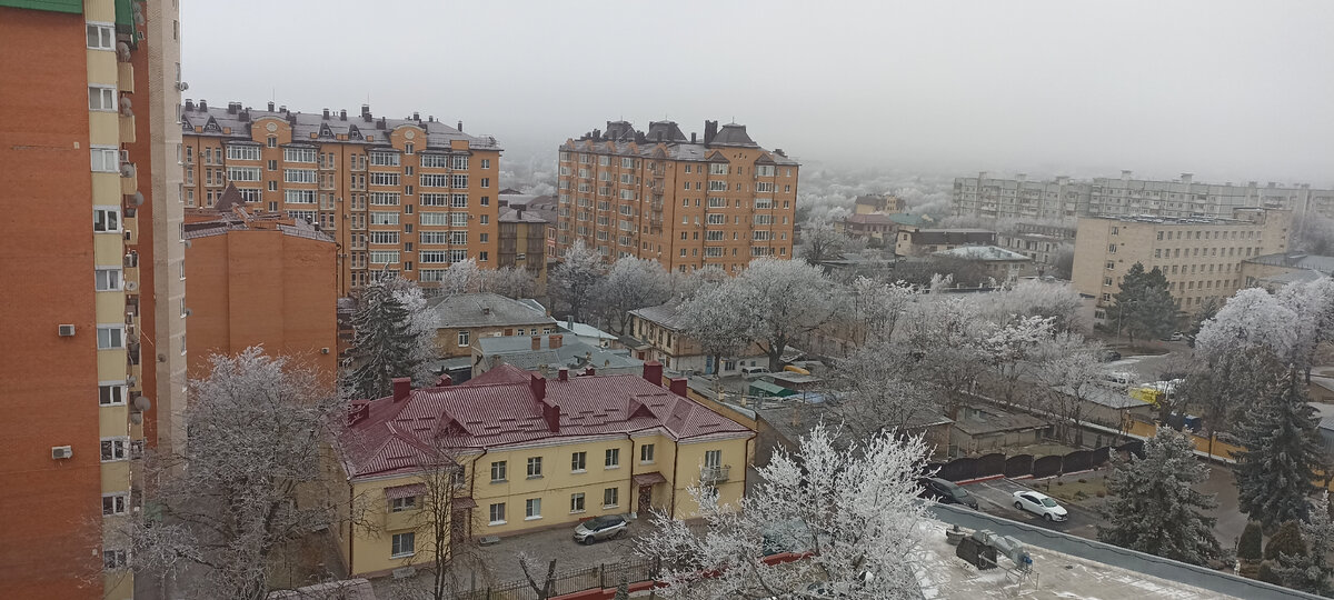 Деревья в красивом инее