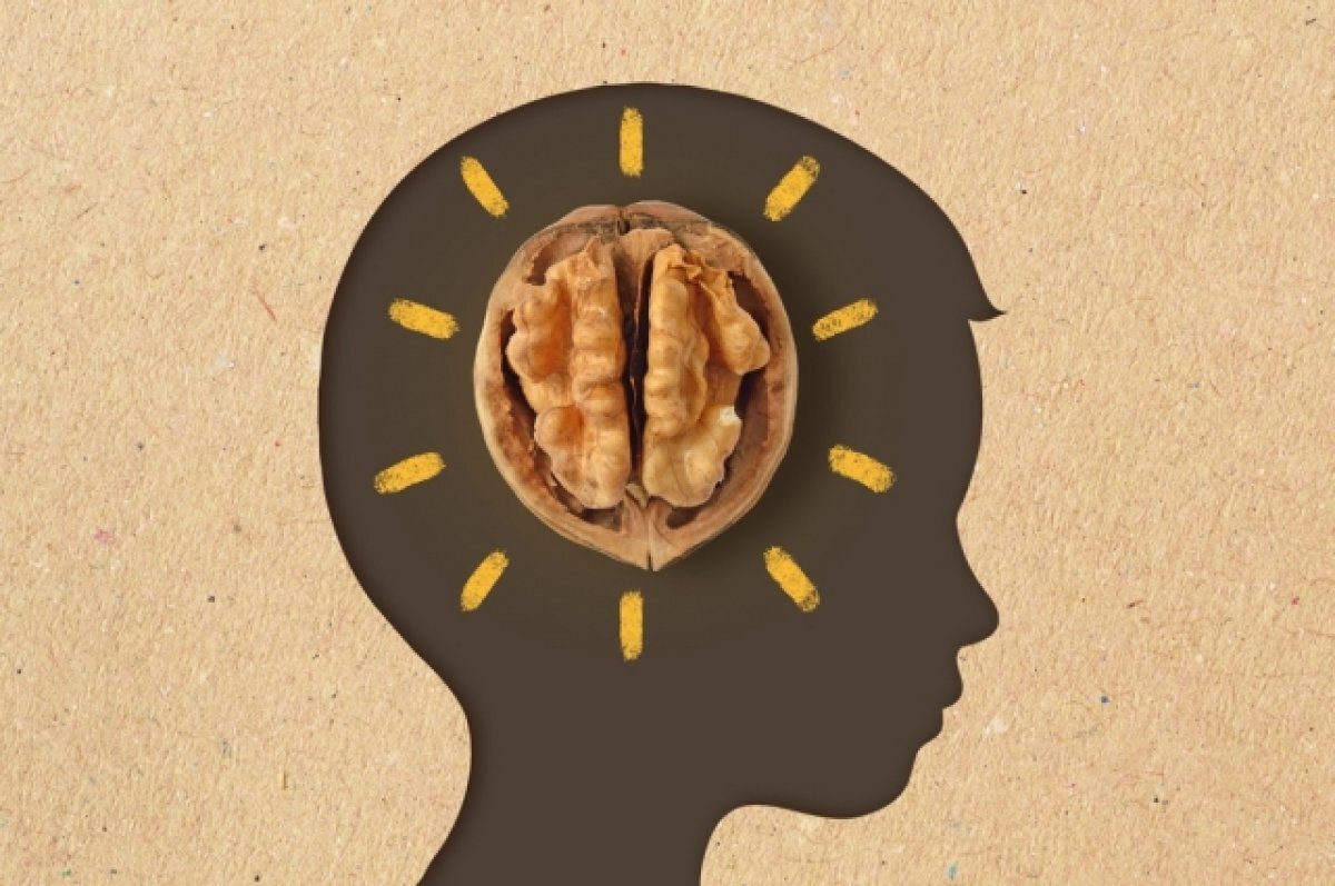    Горсть знаний. Как грецкие орехи делают школьников умнее?