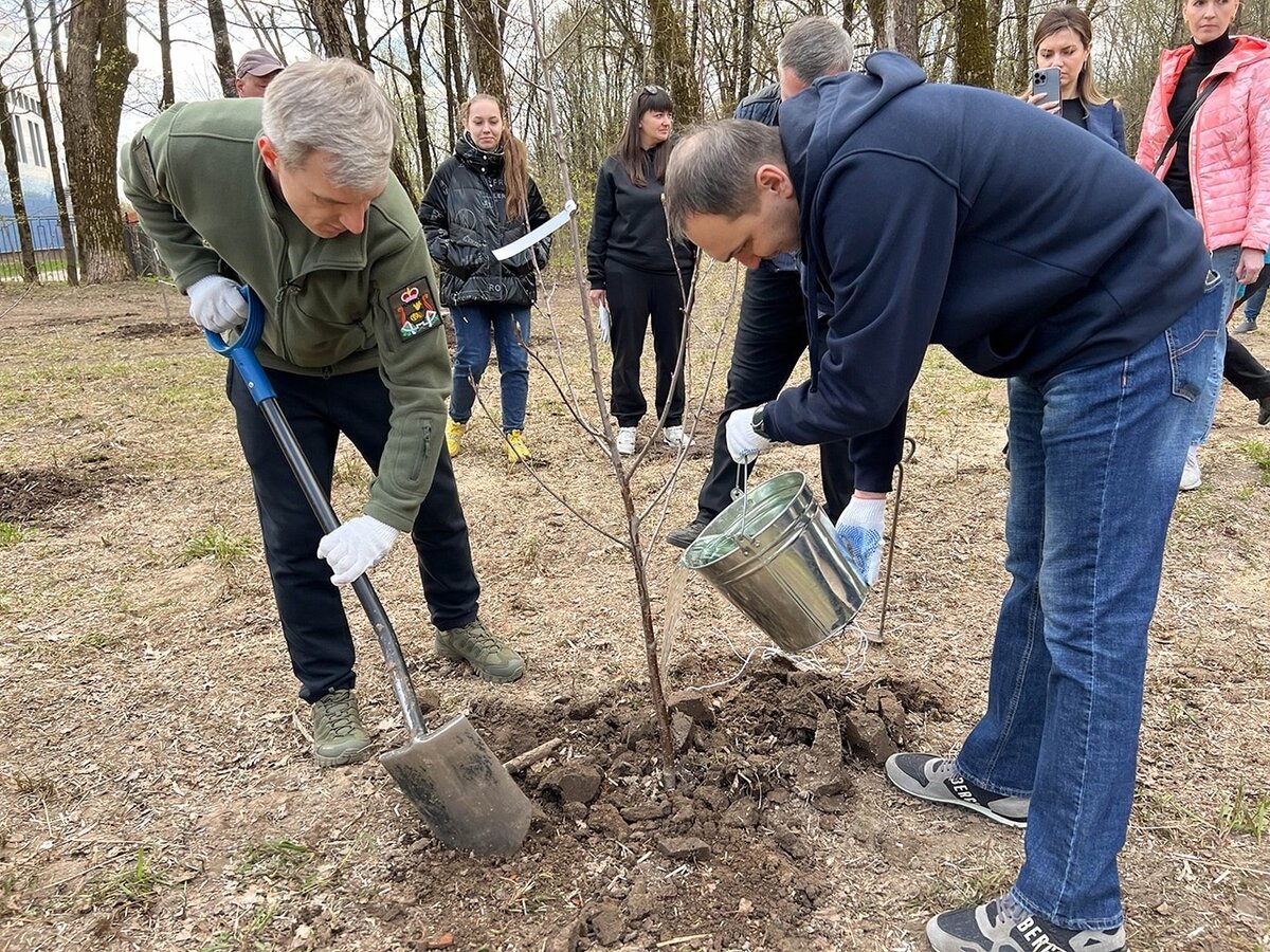 реадовка парк