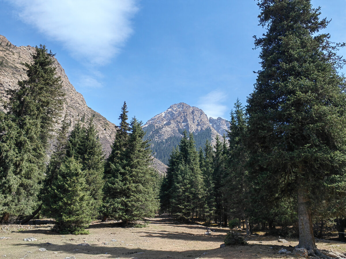 Ущелье Барскоон