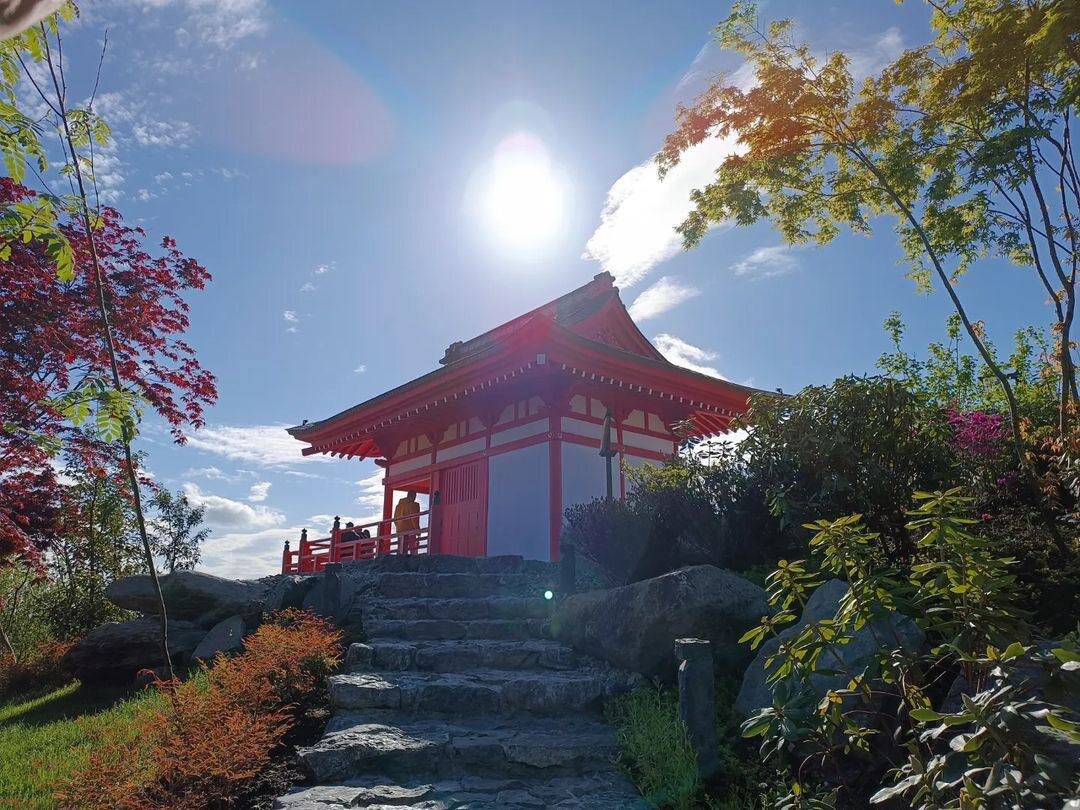 Ки но. Японский сад КРД. Мем про японский сад в Краснодаре. Японский сад Краснодар фотографии. Японский сад Краснодар фото.