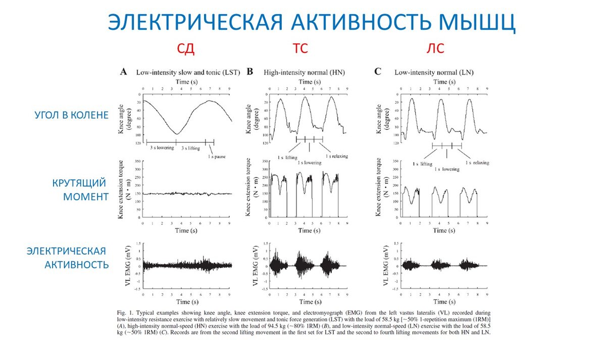 Статодинамика - исследование срочных и хронических эффектов | Василий  Волков | Дзен