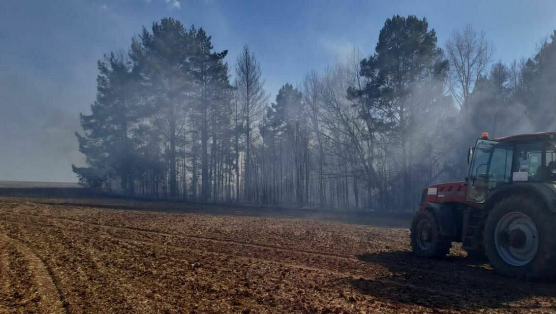     Возле с. Лагуново Сарапульского района Удмуртии днем 24 апреля загорелся лесной массив. Об этом Udm-info рассказали в пресс-службы ГУ МЧС России по республике.