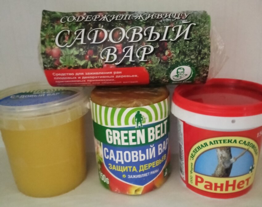 Чем заменить садовый вар в домашних условиях Страшная правда садового вара: не спешите замазывать им спилы! Своё Фермерство: