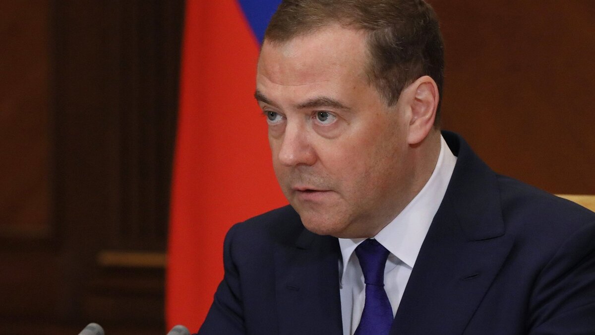    Зампред Совбеза РФ Д. Медведев© РИА Новости . Юлия Зырянова