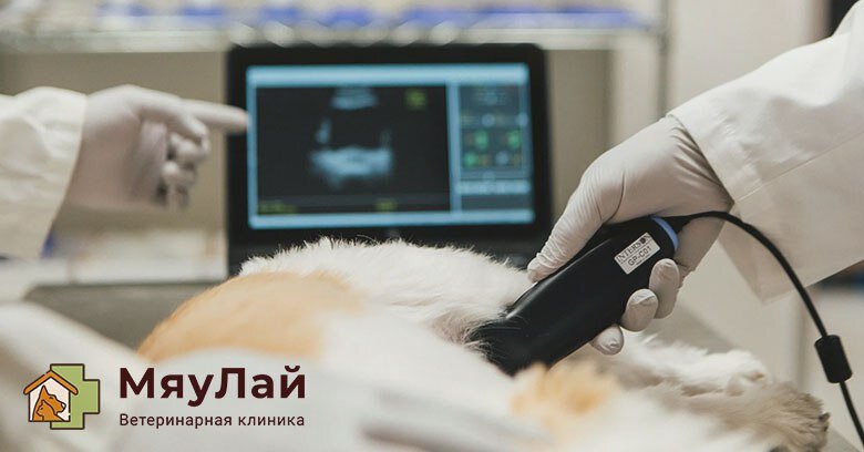 Подпишись на канал и получай интересные и полезные статьи каждый день