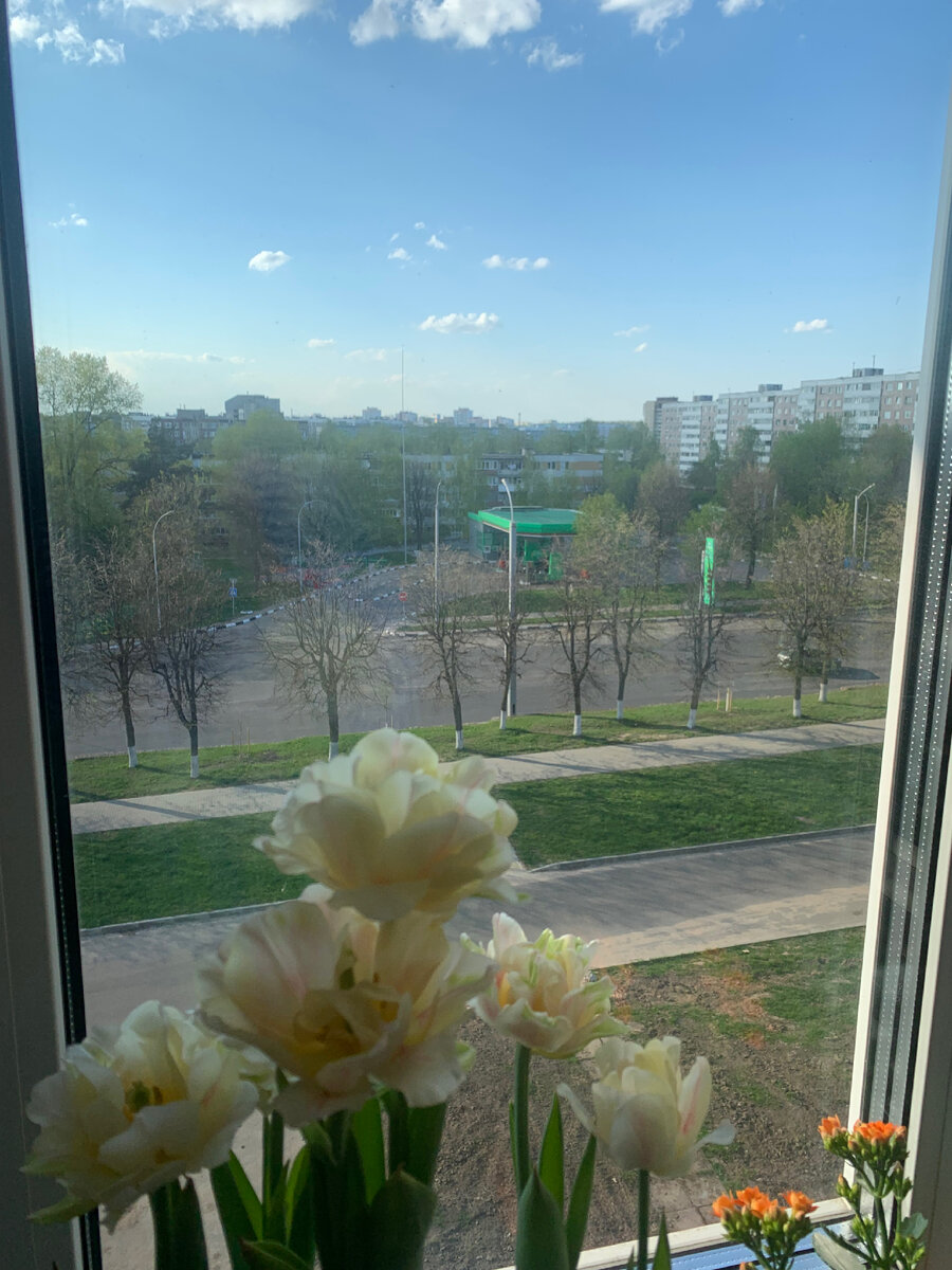 Вид из окна