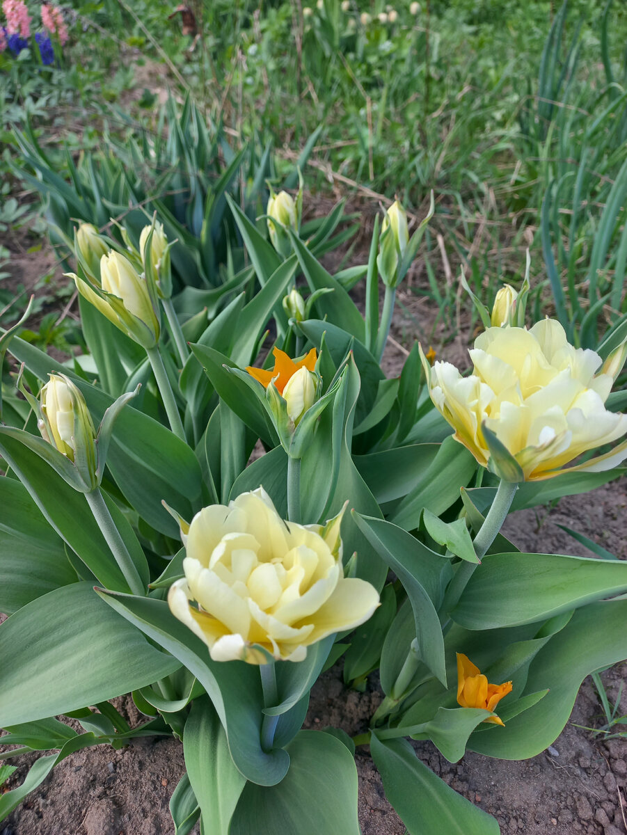 Реальность