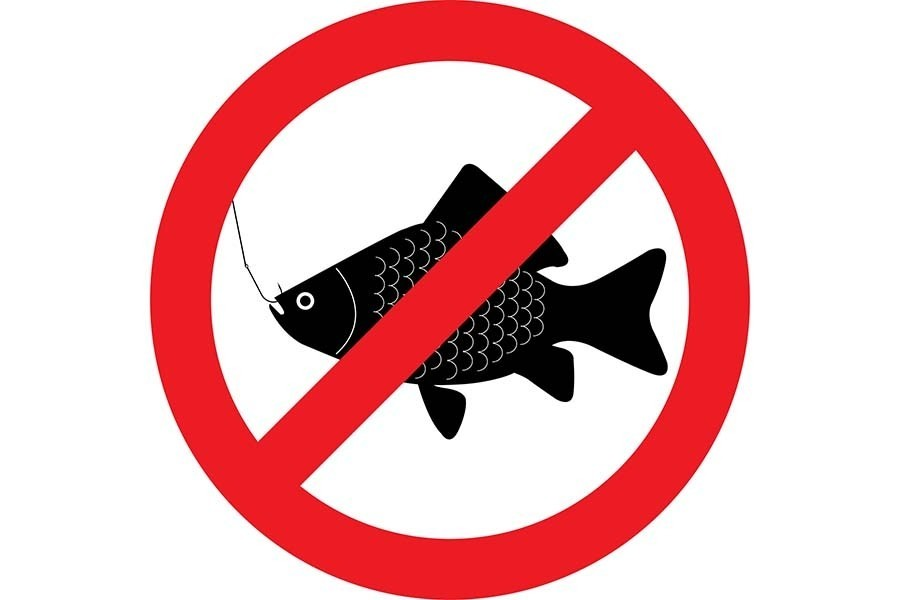 Нерестовый запрет в курской. Рыбалка запрещена. Ловля рыбы запрещена. Рыбалка запрещена табличка. Запрещено ловить рыбца.