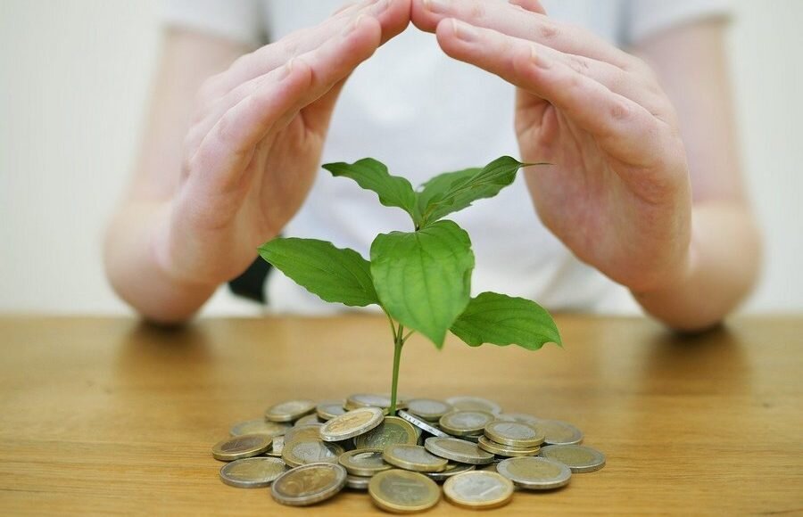    Фото: pixabay.com